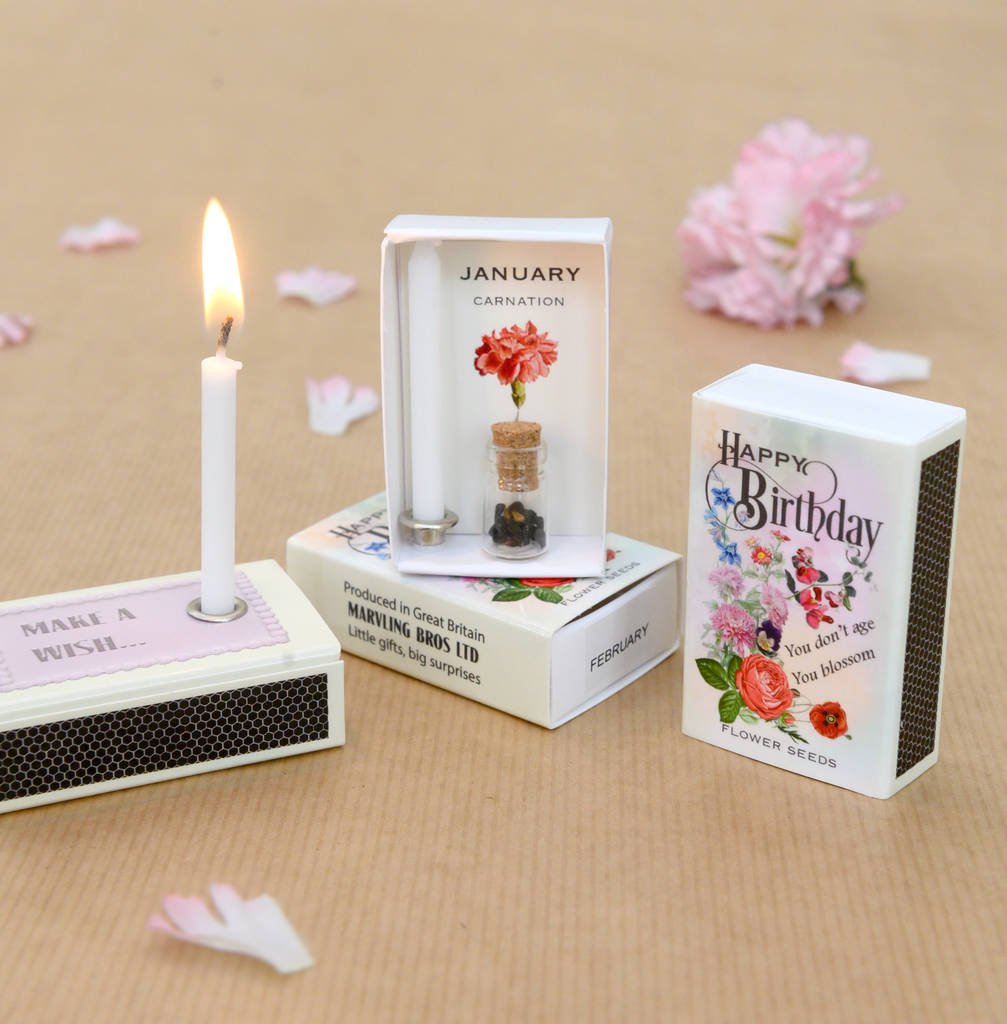 January Birth Flower Seeds And Birthday Candle Gift, 1 of 8