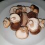 Shiitake Mushroom Log Dowel Kit, thumbnail 3 of 9