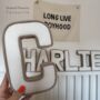 Contrasting Trim Corduroy Fabric Letters, thumbnail 2 of 12