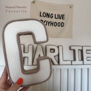 Contrasting Trim Corduroy Fabric Letters, 2 of 12