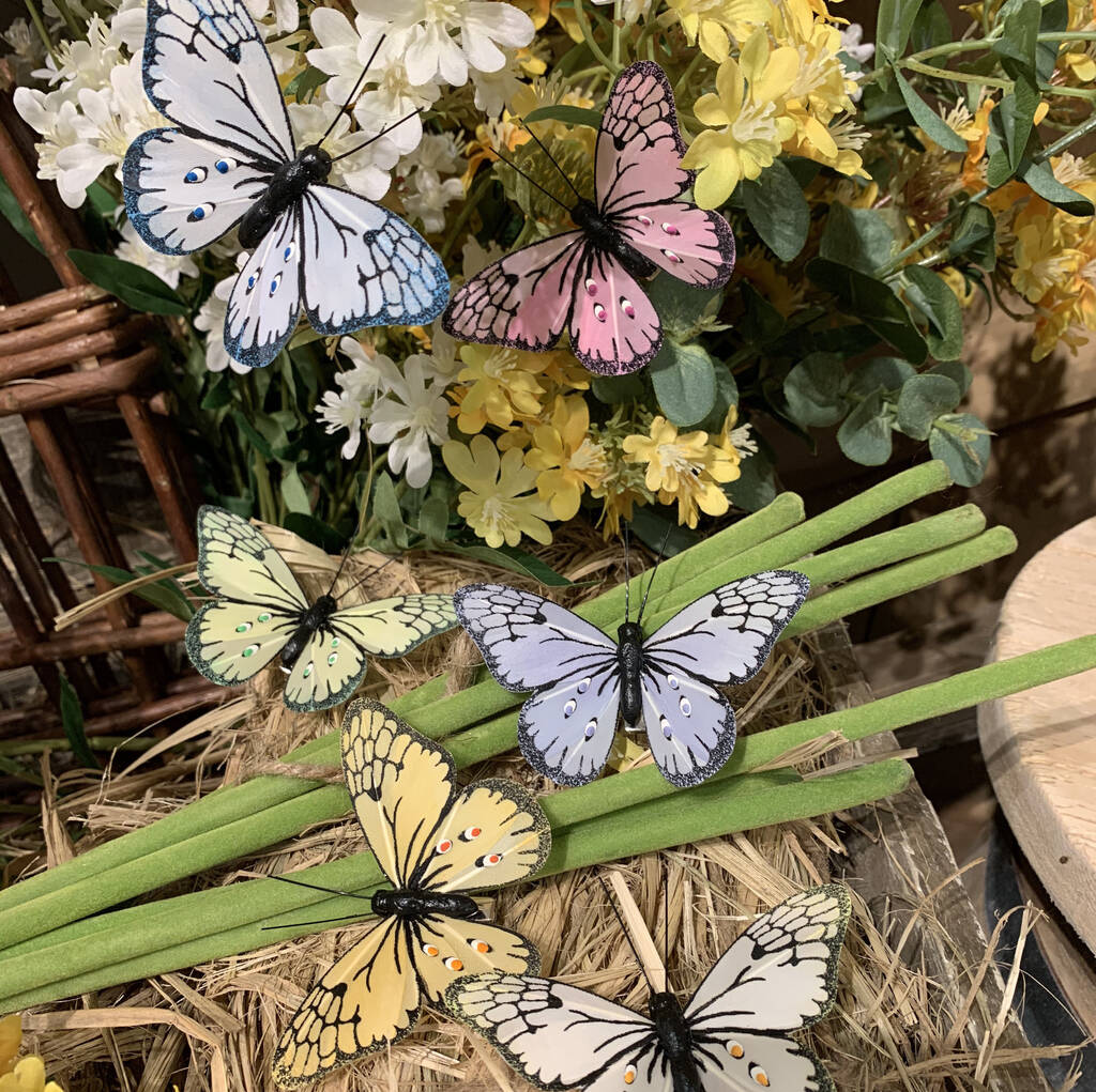 Box Of Six Multicoloured Butterfly Clips By The Chicken And The Egg
