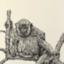 N Is For Northern Muriqui Illustration Print, thumbnail 2 of 6