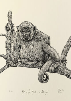 N Is For Northern Muriqui Illustration Print, 2 of 6