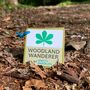 Woodland Wanderer Nature Spotting Sticker Book, thumbnail 1 of 4