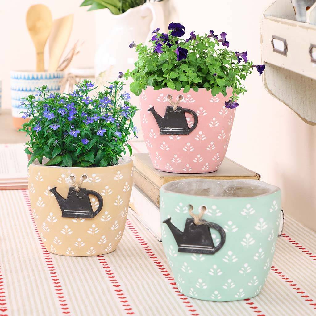 Three Pastel Decorative Watering Can Planters By Dibor
