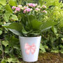 Personalised Peach Bow Mother's Day Plant Pot, thumbnail 1 of 2