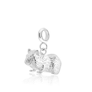 Guinea Pig Charm Sterling Silver, 7 of 11