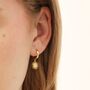 Sunburst Star Charm Hoop Earrings In Gold Plating, thumbnail 5 of 8
