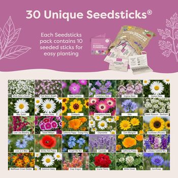Personalised Wild Flower Seeds Starter Kit With 30 Varieties, 2 of 12