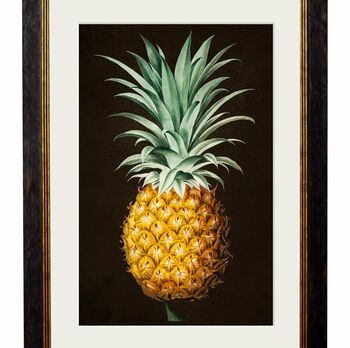 Framed Pineapple Study Print, 2 of 2