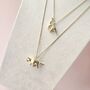 T Rex Triceratops Or Brontosaurus Dinosaur Necklace, thumbnail 3 of 11