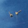 Tiny Gold Bear Stud Earrings, Kids Small Studs, thumbnail 6 of 7