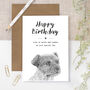 Border Terrier Birthday Card, thumbnail 1 of 5