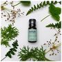 Fennel Pure Essential Oil, thumbnail 1 of 2