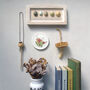 Wren And Snowdrops Decorative Mini Wall Plate, thumbnail 2 of 8