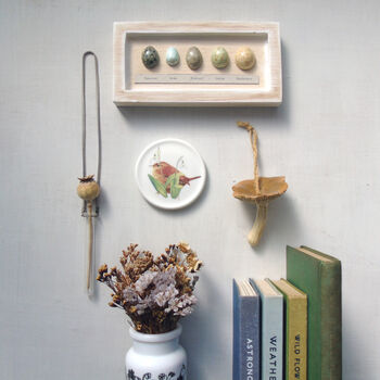 Wren And Snowdrops Decorative Mini Wall Plate, 2 of 8