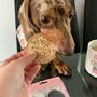 Dogestive Beef Flavoured Biscuit, thumbnail 5 of 5