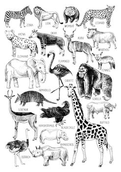 Safari Animal Print, 2 of 5