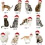 Personalised Cat Christmas Decoration, thumbnail 2 of 3