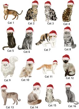 Personalised Cat Christmas Decoration, 2 of 3