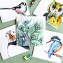 Feathered Friends Pack Of Five Blank Greeting Cards, thumbnail 7 of 7