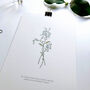 Set Of Three Spring Flowers Botanical Art Prints, thumbnail 2 of 6