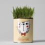 Cats Eco Grow Your Own Plant Kit, thumbnail 1 of 8