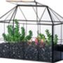 Black Glass Geometric House Plant Terrarium, thumbnail 5 of 6