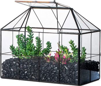 Black Glass Geometric House Plant Terrarium, 5 of 6