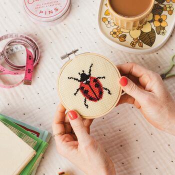 Ladybird Cross Stitch Kit, 2 of 4