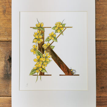 K Is For Kerria Illuminated Botanical Print, 2 of 5
