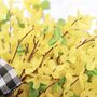 Yellow Forsythia Flower Basket Wreath, thumbnail 2 of 7