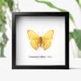 Common Yellow Glider Handcrafted Frame, thumbnail 1 of 3