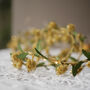 Sparkly Gold And Green Fairy Lights | Christmas Decoration | Holiday Sting Lights, thumbnail 1 of 3