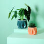 Two Origami Self Watering Eco Plant Pots, thumbnail 3 of 12