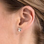 Sterling Silver Turtle Stud Earrings, thumbnail 2 of 12