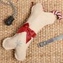 Novelty Pet Christmas Stocking For Dogs, thumbnail 1 of 5