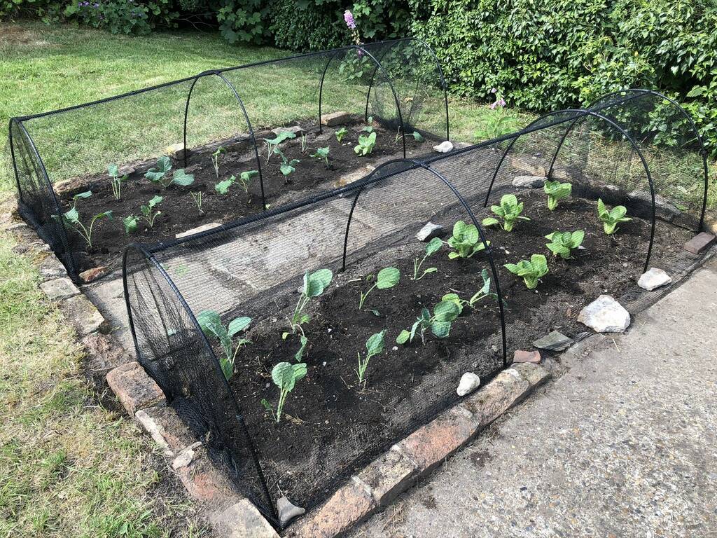 Black Hoop Tunnel With Soft Butterfly Netting, 1 of 2