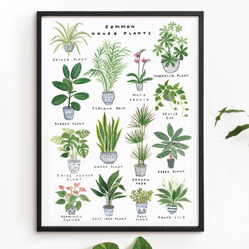 'house Plants' Art Print By Red Gate Arts | notonthehighstreet.com