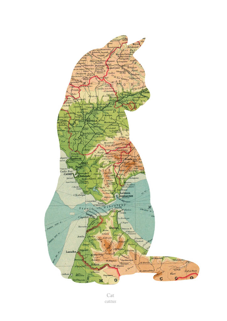 Personalised Cat Map Print By Lime Lace | notonthehighstreet.com