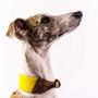 Personalised Cork And Felt Greyhound Dog Collar, thumbnail 2 of 10