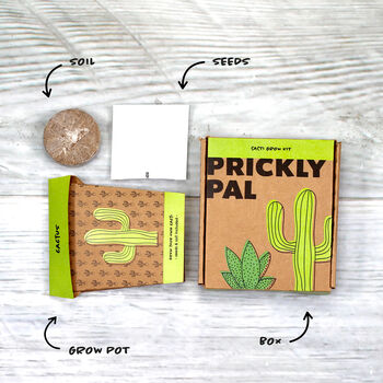 Prickly Pal Cactus Grow Pot Kit, 2 of 9