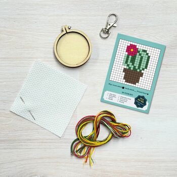 What The Fucculent! Mini Matchbox Cross Stitch Kit, 5 of 5