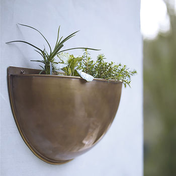 Sola Brass Wall Planter, 7 of 8