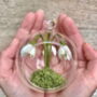 Paper Snowdrop Tiny Terrarium With Gift Tag And Box, thumbnail 2 of 11