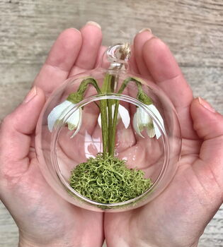 Paper Snowdrop Tiny Terrarium With Gift Tag And Box, 2 of 11