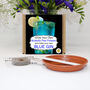 Gin Lover Gift Colour Changing Flowers Growing Kit, thumbnail 2 of 5