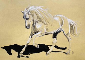 Andalusian Stallion, Print Of Original Sketch, 2 of 3
