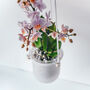 Orla, Hanging Glass Planter, Ideal For Orchids, thumbnail 12 of 12