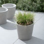 Set Of Three Cement Pots, thumbnail 3 of 3